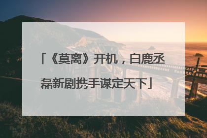 《莫离》开机，白鹿丞磊新剧携手谋定天下