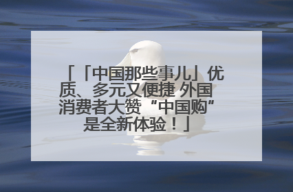 「中国那些事儿」优质、多元又便捷 外国消费者大赞“中国购”是全新体验！