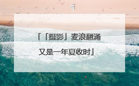 「摄影」麦浪翻涌 又是一年夏收时