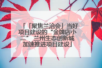 「聚焦兰洽会」当好项目建设的“金牌店小二” 兰州生态创新城加速推进项目建设