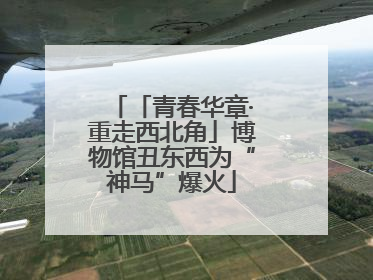 「青春华章·重走西北角」博物馆丑东西为“神马”爆火