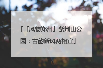 「风物郑州」紫荆山公园：古韵新风两相宜