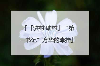 「驻村·助村」“第一书记”方华的牵挂