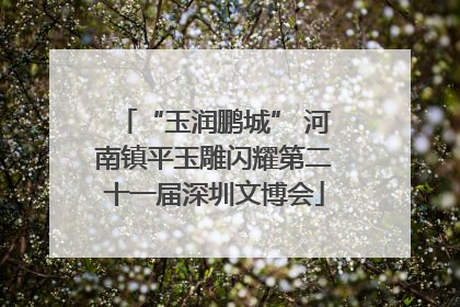 “玉润鹏城” 河南镇平玉雕闪耀第二十一届深圳文博会