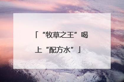 “牧草之王”喝上“配方水”