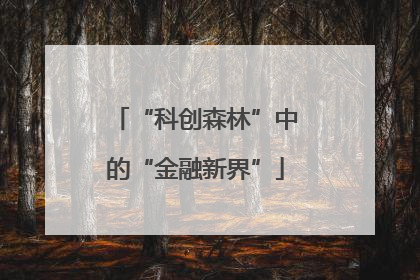 “科创森林”中的“金融新界”