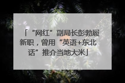 “网红”副局长彭勃履新职，曾用“英语+东北话”推介当地大米