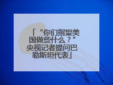 “你们指望美国做些什么？”央视记者提问巴勒斯坦代表