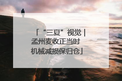 “三夏”视觉｜孟州麦收正当时 机械减损保归仓