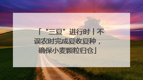 “三夏”进行时丨不误农时完成夏收夏种，确保小麦颗粒归仓