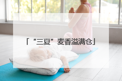 “三夏”麦香溢满仓