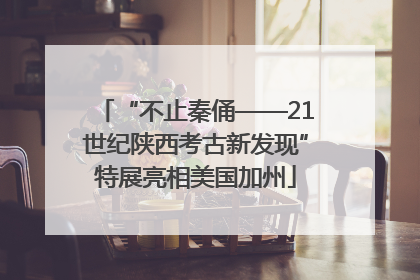 “不止秦俑——21世纪陕西考古新发现”特展亮相美国加州