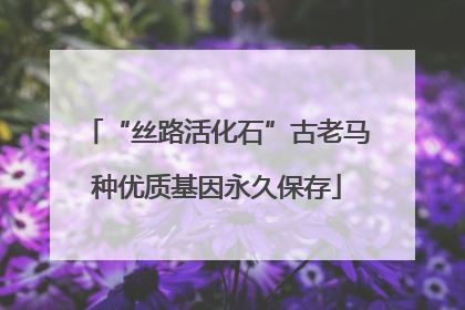 “丝路活化石”古老马种优质基因永久保存