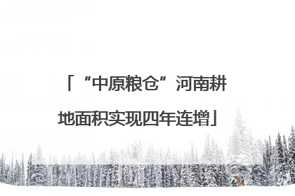 “中原粮仓”河南耕地面积实现四年连增