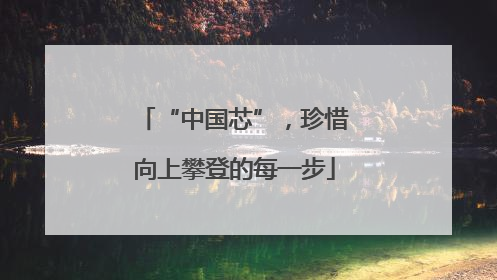 “中国芯”，珍惜向上攀登的每一步