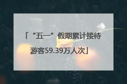 “五一”假期累计接待游客59.39万人次