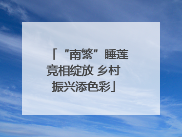 “南繁”睡莲竞相绽放 乡村振兴添色彩