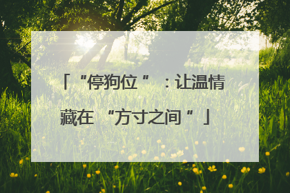 “停狗位 ”：让温情藏在 “方寸之间 ”