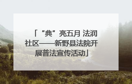 “典”亮五月 法润社区——新野县法院开展普法宣传活动