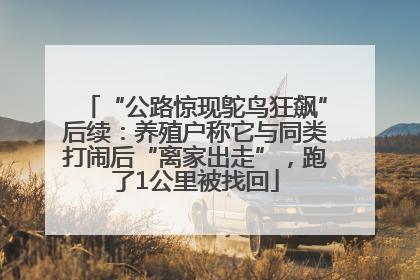 “公路惊现鸵鸟狂飙”后续：养殖户称它与同类打闹后“离家出走”，跑了1公里被找回