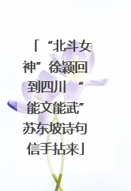 “北斗女神”徐颖回到四川 “能文能武”苏东坡诗句信手拈来