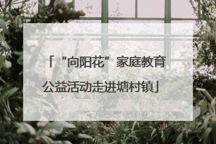 “向阳花”家庭教育公益活动走进塘村镇