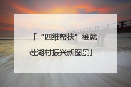 “四维帮扶”绘就莲湖村振兴新图景