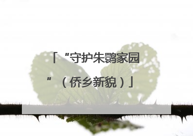 “守护朱鹮家园”（侨乡新貌）