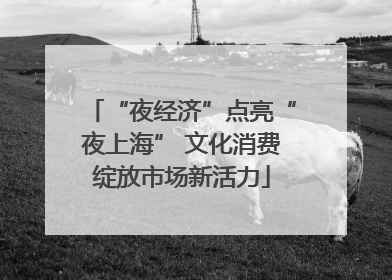 “夜经济”点亮“夜上海” 文化消费绽放市场新活力
