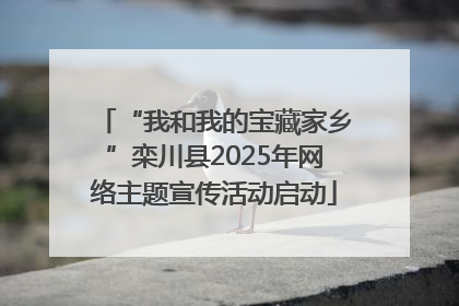 “我和我的宝藏家乡”栾川县2025年网络主题宣传活动启动