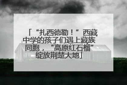 “扎西德勒！”西藏中学的孩子们遇上藏族同胞，“高原红石榴”绽放荆楚大地