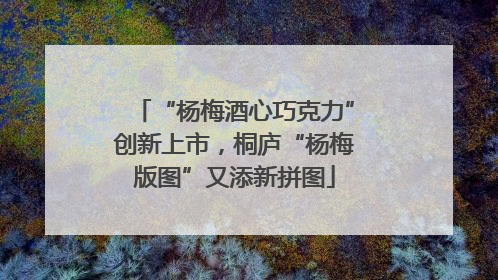 “杨梅酒心巧克力”创新上市，桐庐“杨梅版图”又添新拼图