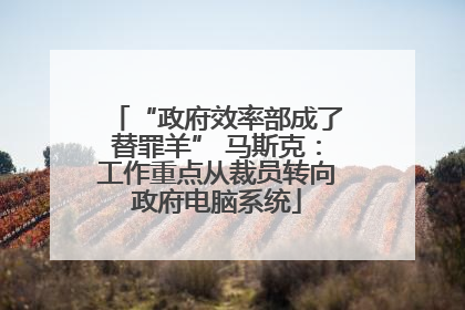 “政府效率部成了替罪羊” 马斯克：工作重点从裁员转向政府电脑系统