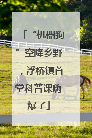 “机器狗”空降乡野，浮桥镇首堂科普课嗨爆了