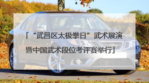 “武昌区太极拳日”武术展演暨中国武术段位考评赛举行