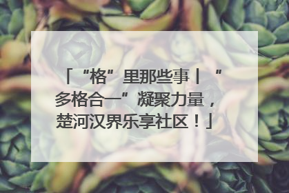 “格”里那些事丨“多格合一”凝聚力量，楚河汉界乐享社区！