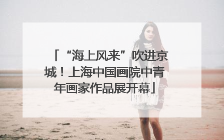 “海上风来”吹进京城！上海中国画院中青年画家作品展开幕