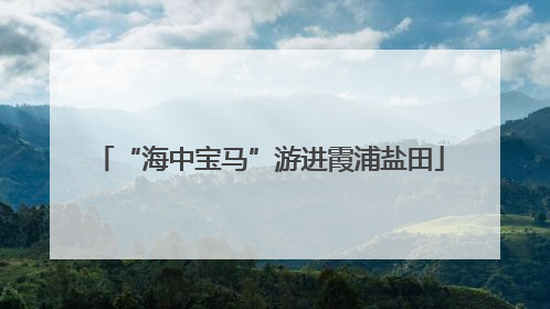 “海中宝马”游进霞浦盐田