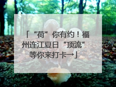 “荷”你有约！福州连江夏日“顶流”等你来打卡→