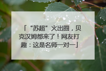“苏超”火出圈，贝克汉姆都来了！网友打趣：这是名师一对一