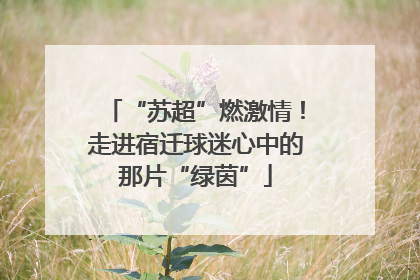 “苏超”燃激情！走进宿迁球迷心中的那片“绿茵”