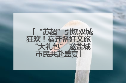 “苏超”引爆双城狂欢！宿迁备好文旅“大礼包” 邀盐城市民共赴盛宴