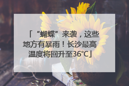 “蝴蝶”来袭，这些地方有暴雨！长沙最高温度将回升至36℃