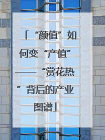“颜值”如何变“产值”——“赏花热”背后的产业图谱