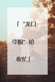 “龙口夺粮”抢收忙
