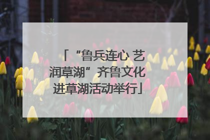 “鲁兵连心 艺润草湖”齐鲁文化进草湖活动举行