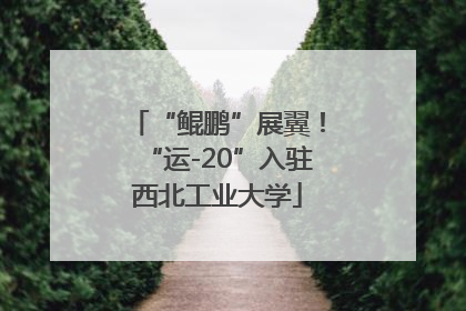 “鲲鹏”展翼！“运-20”入驻西北工业大学