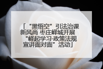“黑悟空”引法治课新风尚 枣庄峄城开展“峄起学习·政策法规宣讲面对面”活动