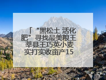 “黑松土 活化肥”寻找最美粮王 莘县王巧英小麦实打实收亩产1515.4斤 超对照田144斤！
