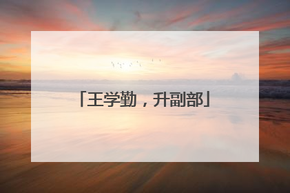 王学勤，升副部